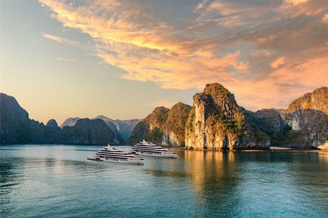 Best Green Cruise Options: A Professional’s Performance Guide