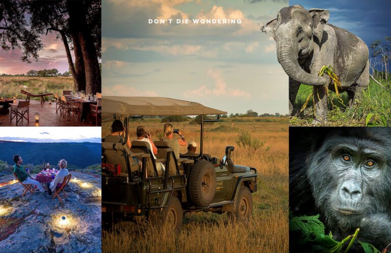 Ethical Safari Ideas: A Definitive Guide to Responsible Travel