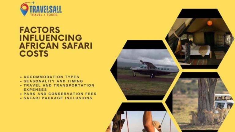 How to Reduce Safari Trip Costs: A Strategic Performance Guide