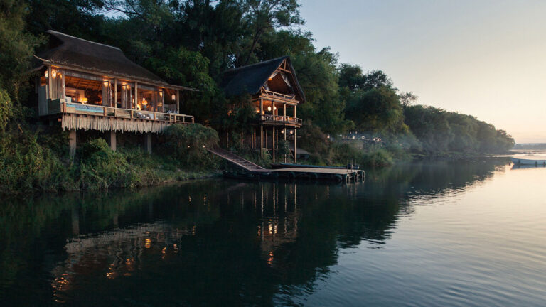 Best Green Safari Options: A Professional’s Guide to Ethical Wildlife Travel