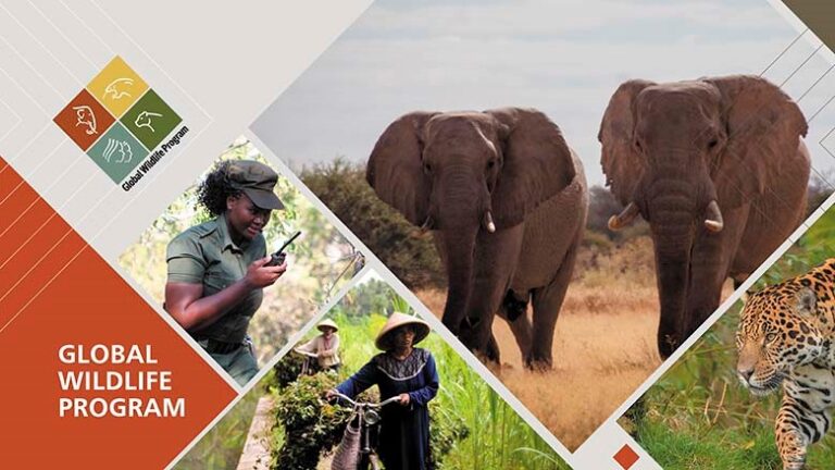 Wildlife Conservation Protection Plans: A Definitive Strategic Guide